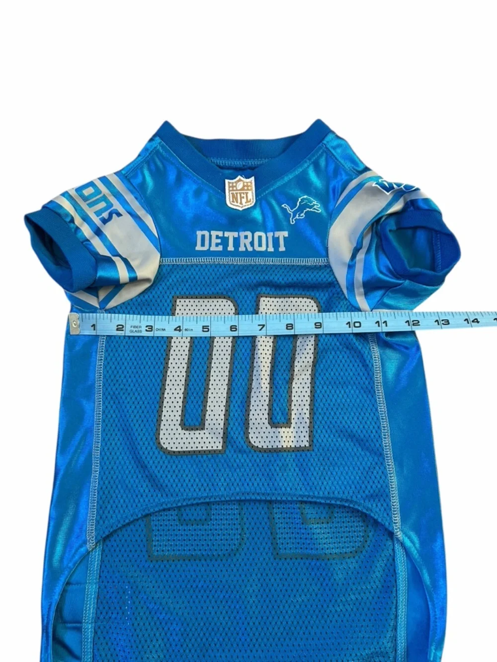 NFL detroit lions